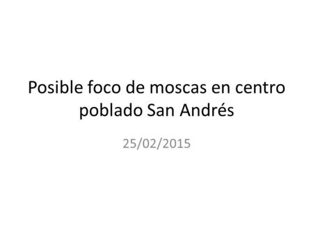 Posible foco de moscas en centro poblado San Andrés 25/02/2015.