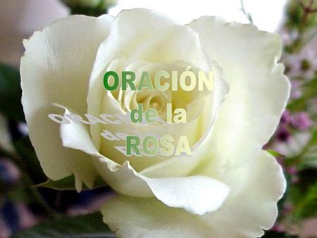 Padre nuestro que estás en la tierra; en la fuerte y hermosa tierra; en la tierra buena;