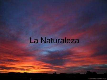 La Naturaleza.