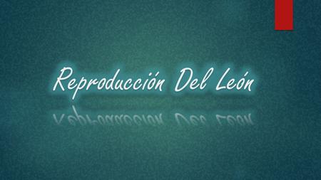 Reproducción Del León.