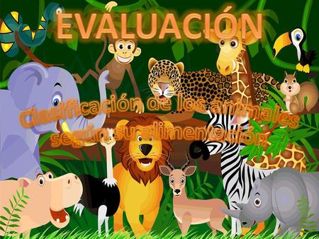 Clasificación de los animales