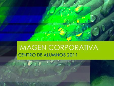 IMAGEN CORPORATIVA CENTRO DE ALUMNOS 2011.