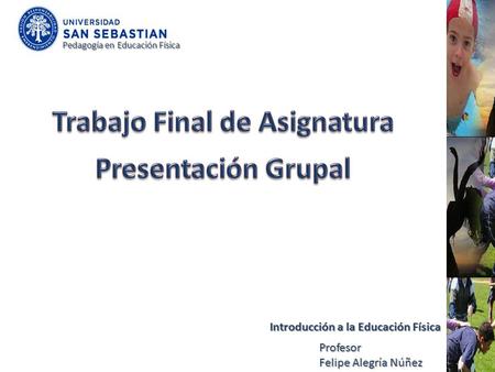 Trabajo Final de Asignatura