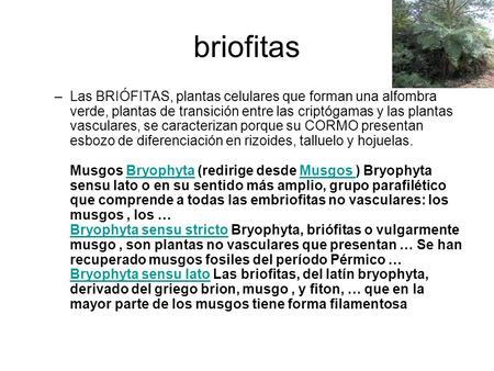 Briofitas Las BRIÓFITAS, plantas celulares que forman una alfombra verde, plantas de transición entre las criptógamas y las plantas vasculares, se caracterizan.