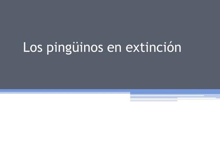 Los pingüinos en extinción