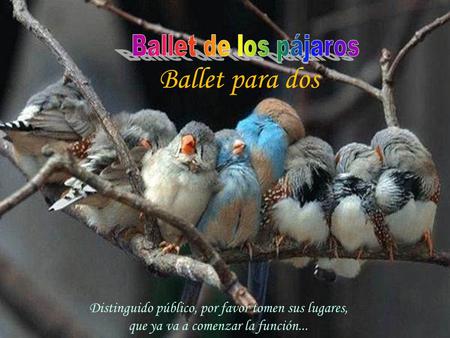 www.vitanoblepowerpoints.net Ballet para dos Distinguido público, por favor tomen sus lugares, que ya va a comenzar la función...