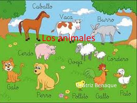 Los animales Beatriz Benaque.