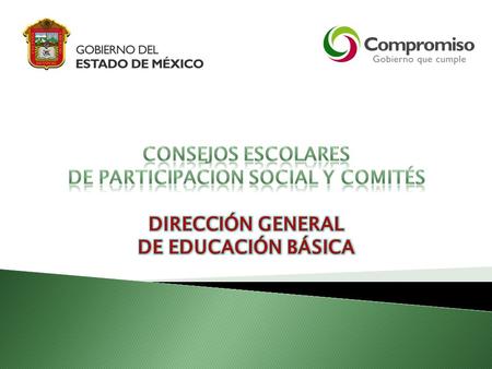 CONSEJOS ESCOLARES DE PARTICIPACION SOCIAL y comités