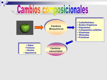Cambios composicionales