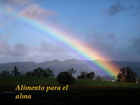 Alimento para el alma.