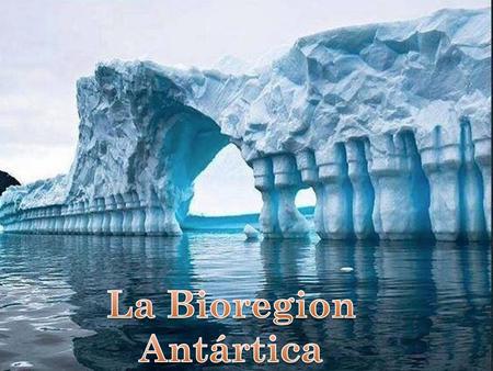 La Bioregion Antártica