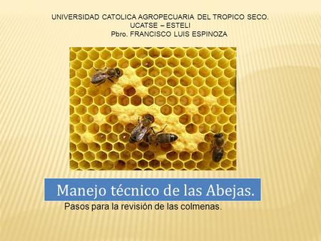 ll AÑO Ileana castillo UCATSE ll AÑO Manejo técnico de las Abejas. UNIVERSIDAD CATOLICA AGROPECUARIA DEL TROPICO SECO. UCATSE – ESTELI Pbro. FRANCISCO.
