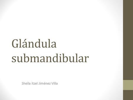 Glándula submandibular