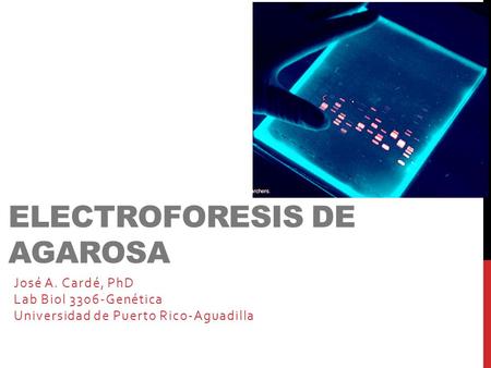 Electroforesis de Agarosa