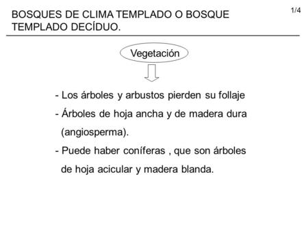 BOSQUES DE CLIMA TEMPLADO O BOSQUE TEMPLADO DECÍDUO.