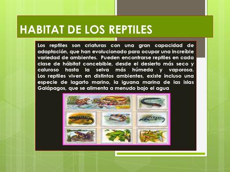 HABITAT DE LOS REPTILES