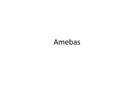 Amebas.