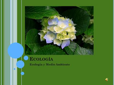 Ecología y Medio Ambiente