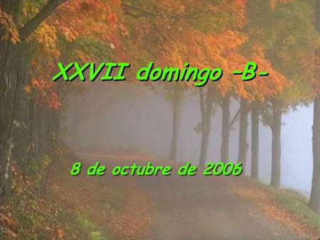 XXVII domingo –B- 8 de octubre de 2006.