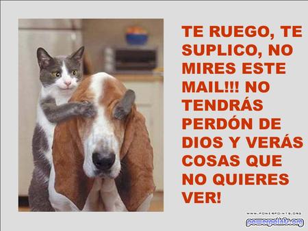 TE RUEGO, TE SUPLICO, NO MIRES ESTE MAIL!!! NO TENDRÁS PERDÓN DE DIOS Y VERÁS COSAS QUE NO QUIERES VER!