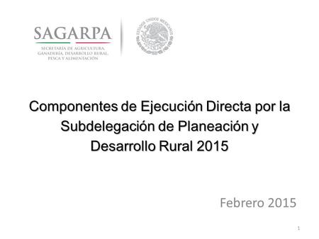 Componentes de Ejecución Directa por la Subdelegación de Planeación y Desarrollo Rural 2015 Febrero 2015 1.