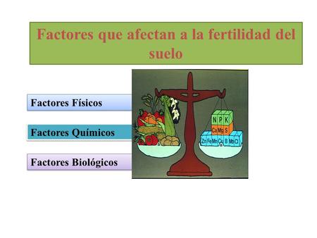 Factores que afectan a la fertilidad del suelo