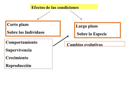 Efectos de las condiciones