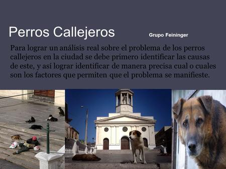 Perros Callejeros Grupo Feininger