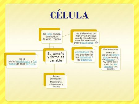CÉLULA del latín cellula, diminutivo de cella, ‘huecolatín Es la unidad morfológica y fun cional de todo ser vivo.morfológicafun cionalser vivo Su tamaño.