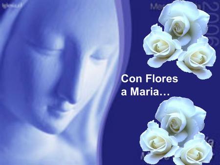 Con Flores a Maria… “Debemos aspirar a ser un reflejo de Maria en la vida diaria.” Tan solo me pregunto: Que harías tu Maria en mi lugar.