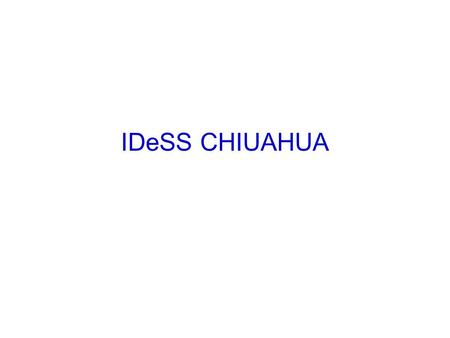 IDeSS CHIUAHUA. ¿Qué se ha hecho? Alianza con el Instituto Chihuahuense de la Mujer: Planes de Negocios para microempresas: -Envasados. -Papelerías. -Pastelerías.