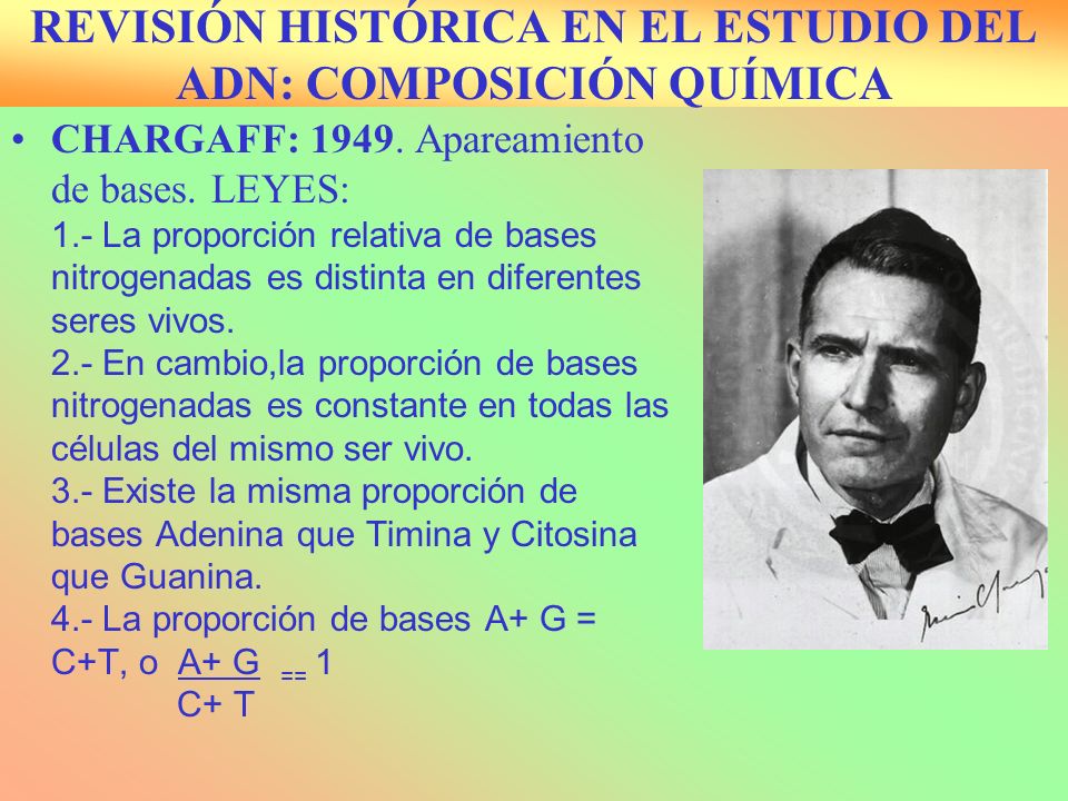 REVISIÓN HISTÓRICA EN EL ESTUDIO DEL ADN: COMPOSICIÓN QUÍMICA - ppt  descargar