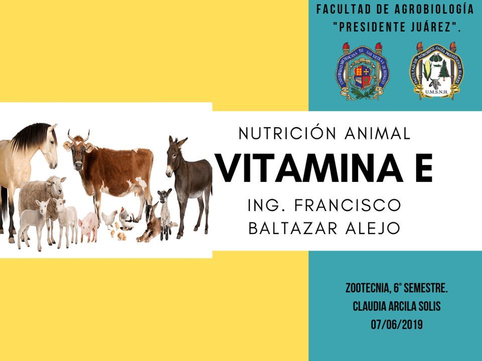 VITAMINA E. NUTRICIÓN ANIMAL - ppt descargar