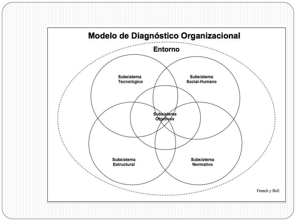 DIAGNOSTICO ORGANIZACIONAL - ppt descargar