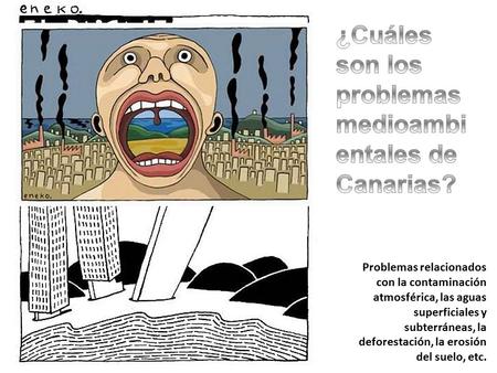 Problemas relacionados con la contaminación atmosférica, las aguas superficiales y subterráneas, la deforestación, la erosión del suelo, etc.