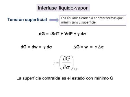 Interfase líquido-vapor