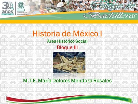 M.T.E. María Dolores Mendoza Rosales