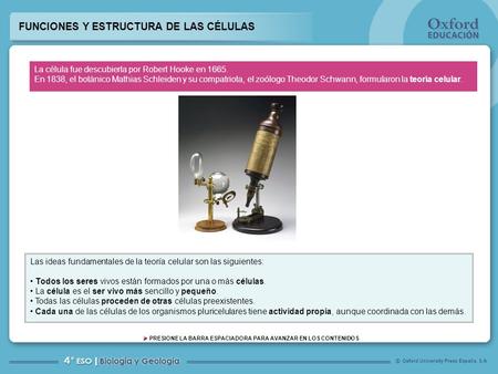 FUNCIONES Y ESTRUCTURA DE LAS CÉLULAS