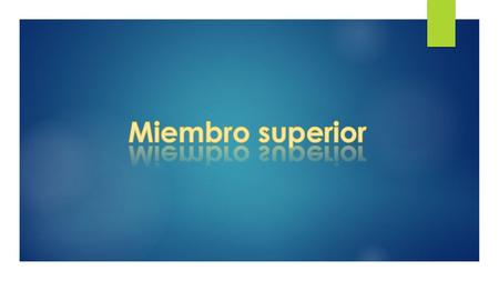 Miembro superior.