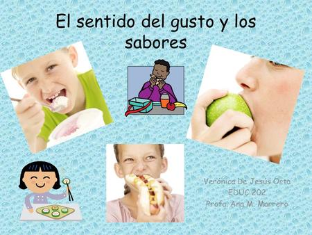 El sentido del gusto y los sabores