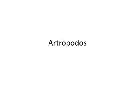 Artrópodos.