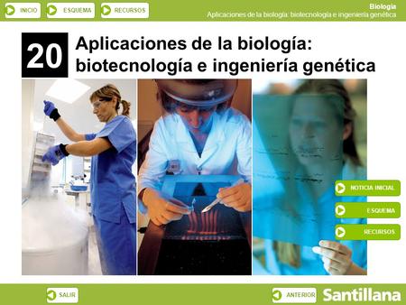 20 Aplicaciones de la biología: biotecnología e ingeniería genética