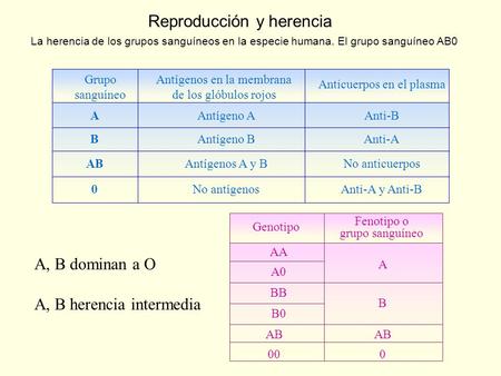 Reproducción y herencia