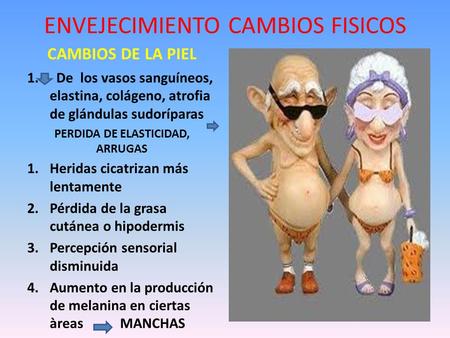 ENVEJECIMIENTO CAMBIOS FISICOS