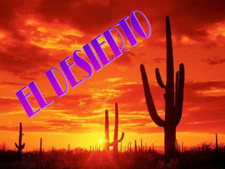 EL DESIERTO.