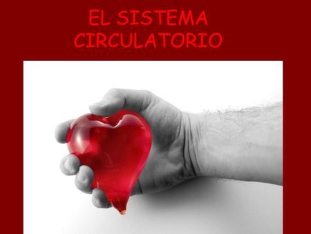 EL SISTEMA CIRCULATORIO
