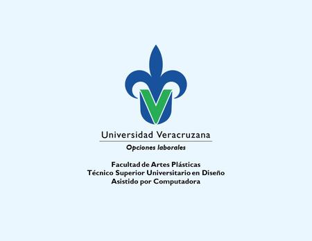 Opciones laborales Facultad de Artes Plásticas Técnico Superior Universitario en Diseño Asistido por Computadora.