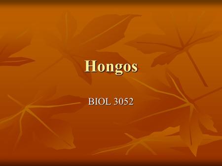 Hongos BIOL 3052.