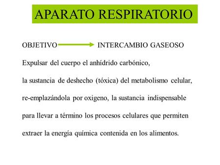 APARATO RESPIRATORIO OBJETIVO INTERCAMBIO GASEOSO