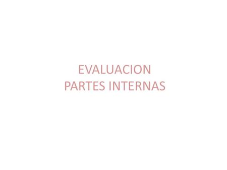 EVALUACION PARTES INTERNAS